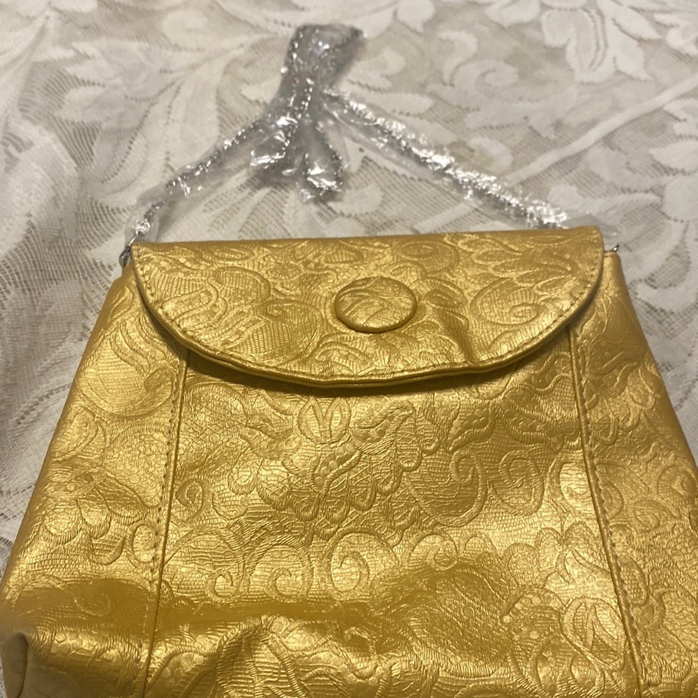Amici gold embroidered  purse with chain strap.